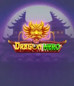 Embark on a fantastic quest with Dragon Hero by Pragmatic Play, featuring stunning visuals of mighty dragons and heroic battles. Venture into a world where magic meets adventure, with featuring enchanted weapons, mystical creatures, and treasures for a mesmerizing adventure.